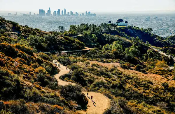 Griffith Park trails